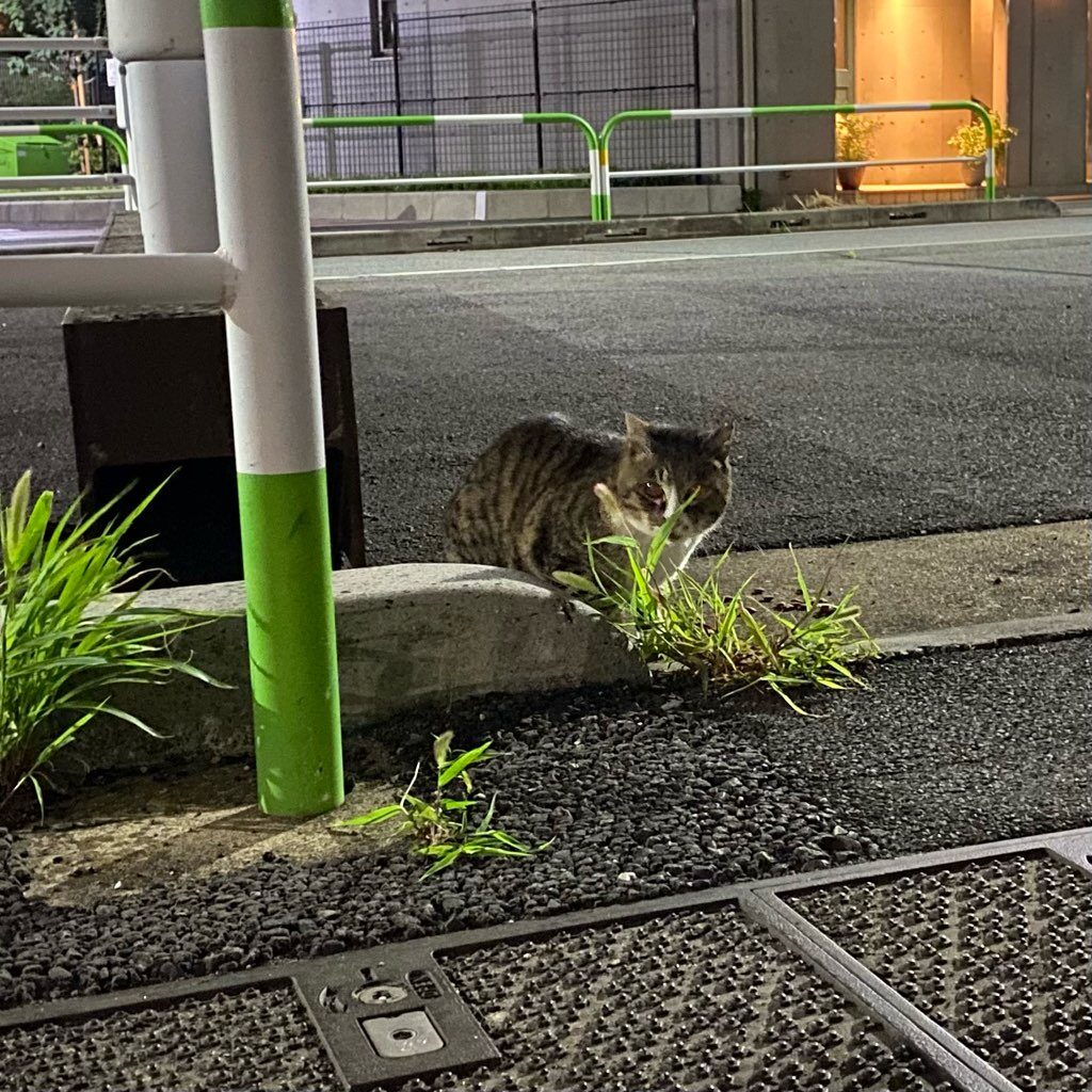 鍵しっぽのサビ